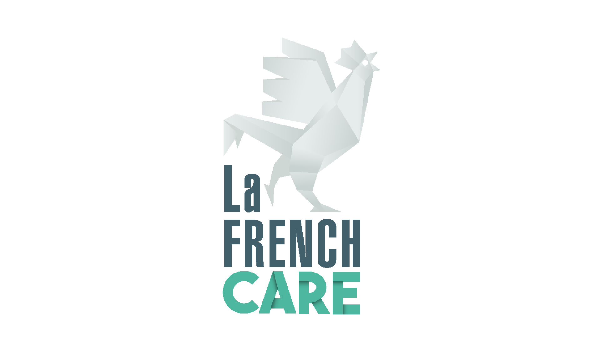 frenchcare_resize